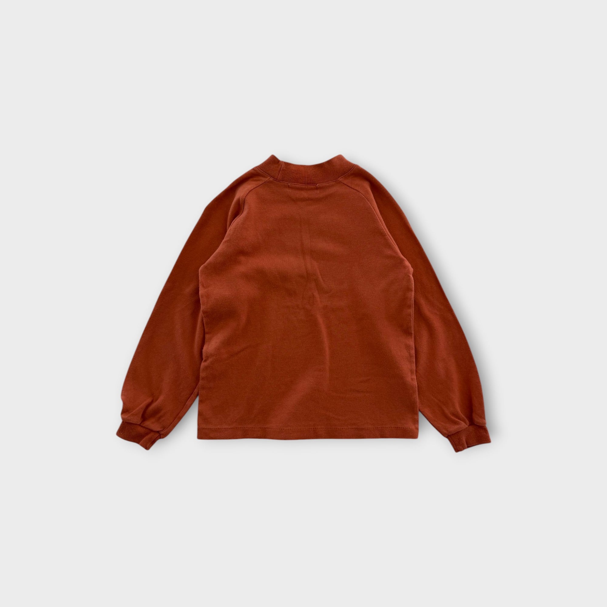 Rust Ducks Turtleneck, Size 7-8