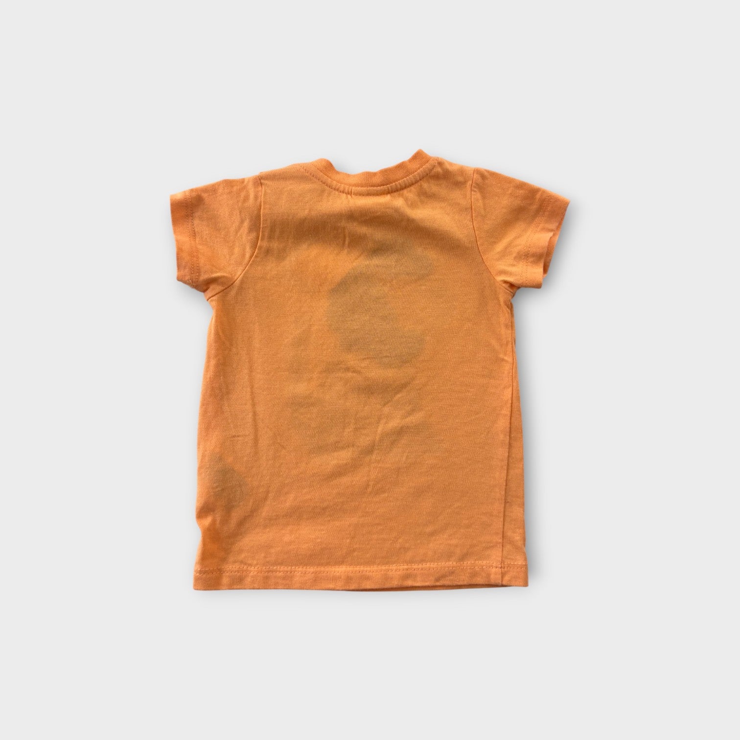 Seed Heritage Orange Puppy T-Shirt, Size 000
