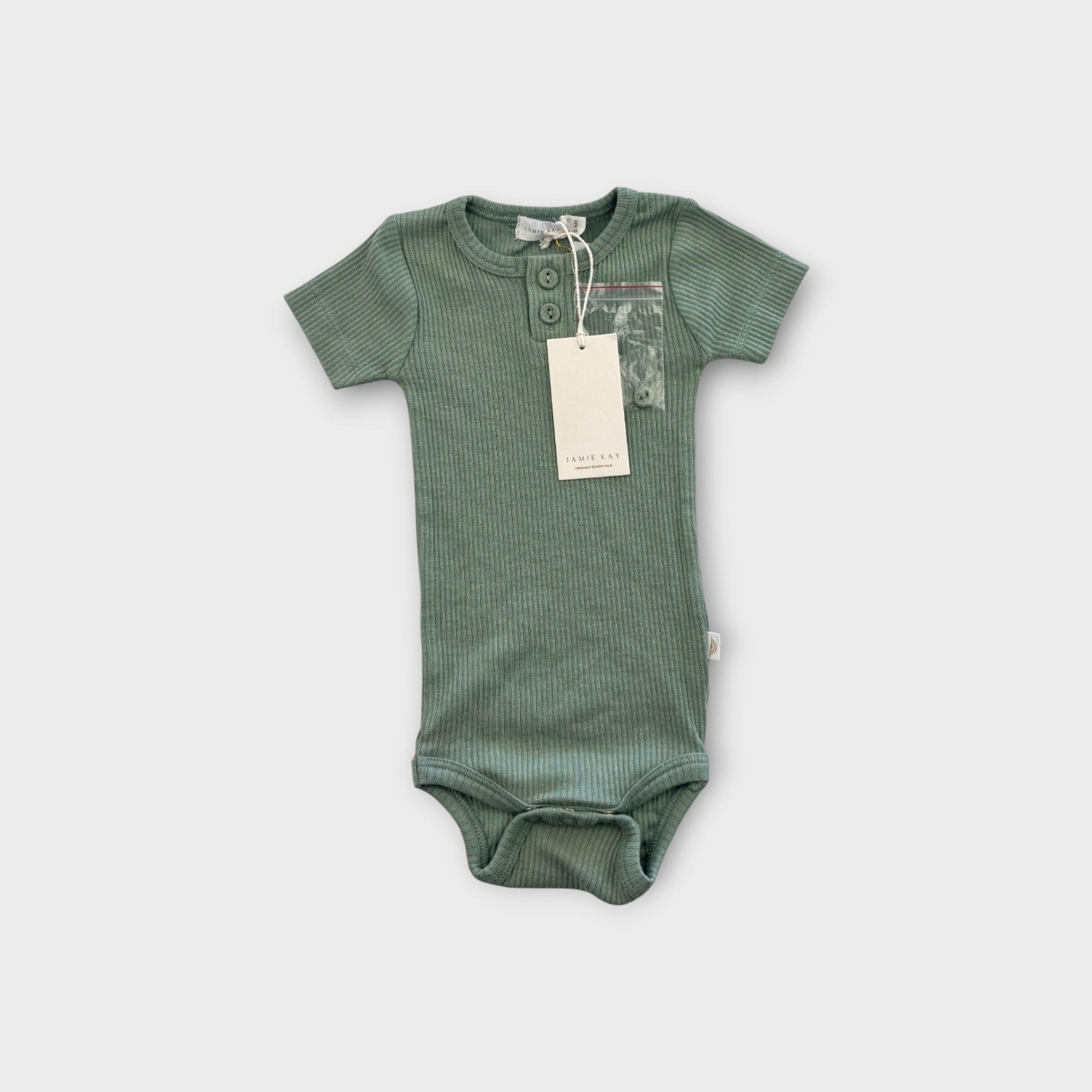 Jamie Kay Sage Ribbed Bodysuit, Size 00