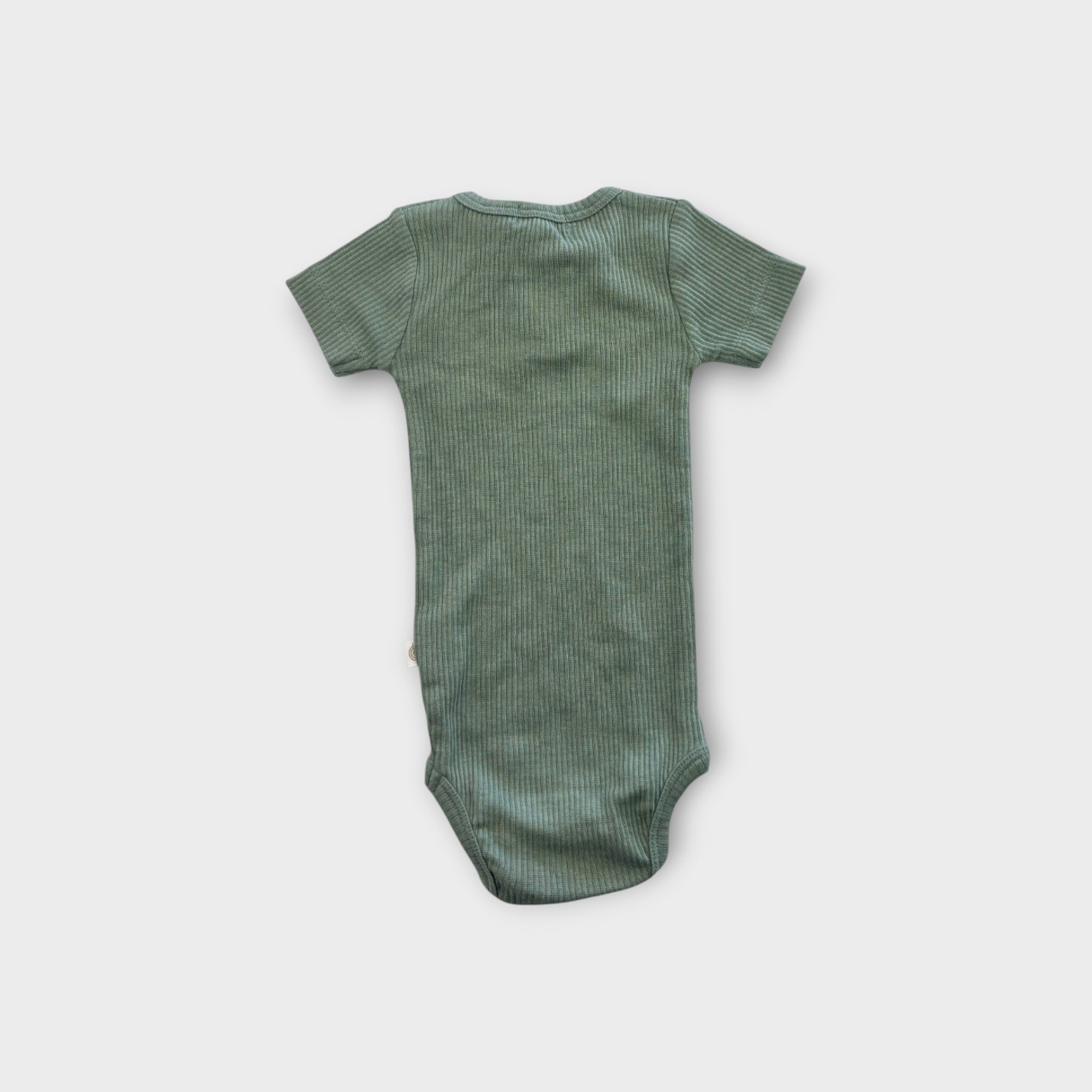 Jamie Kay Sage Ribbed Bodysuit, Size 00