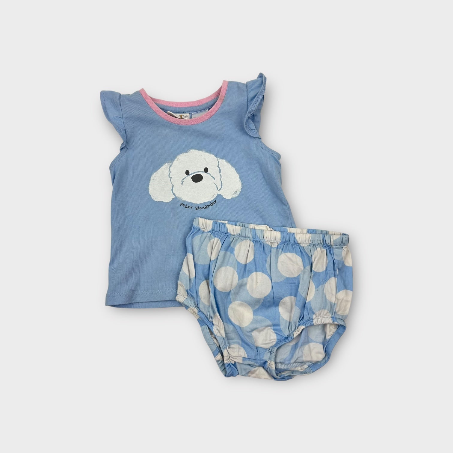 Peter Alexander Blue Puppy Sleep Set, Size 0