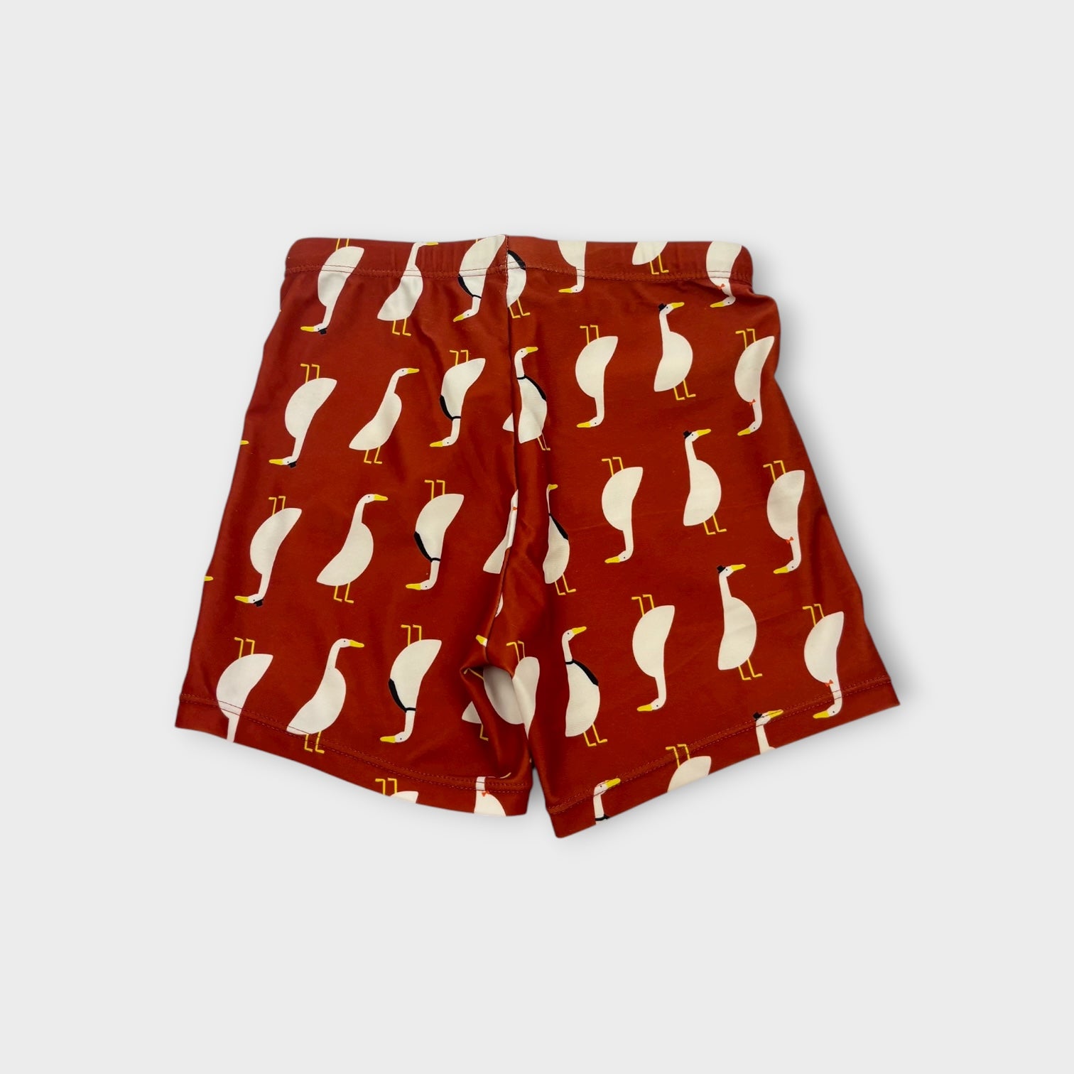 Duck Print Swim Set, Size 5