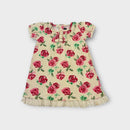 Rock Your Baby Roses Dress, Size 3