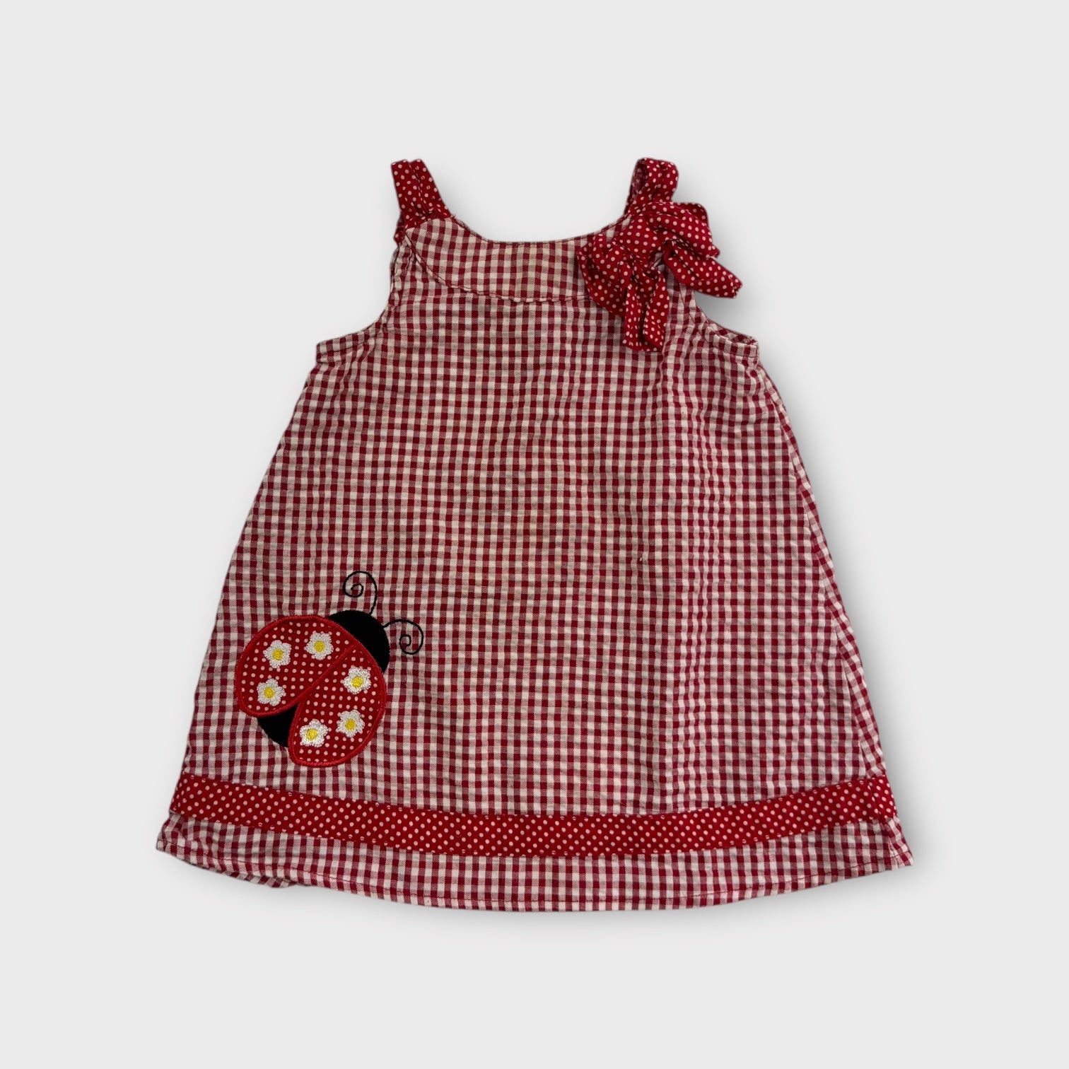 Vintage Red Gingham Dress, Size 00